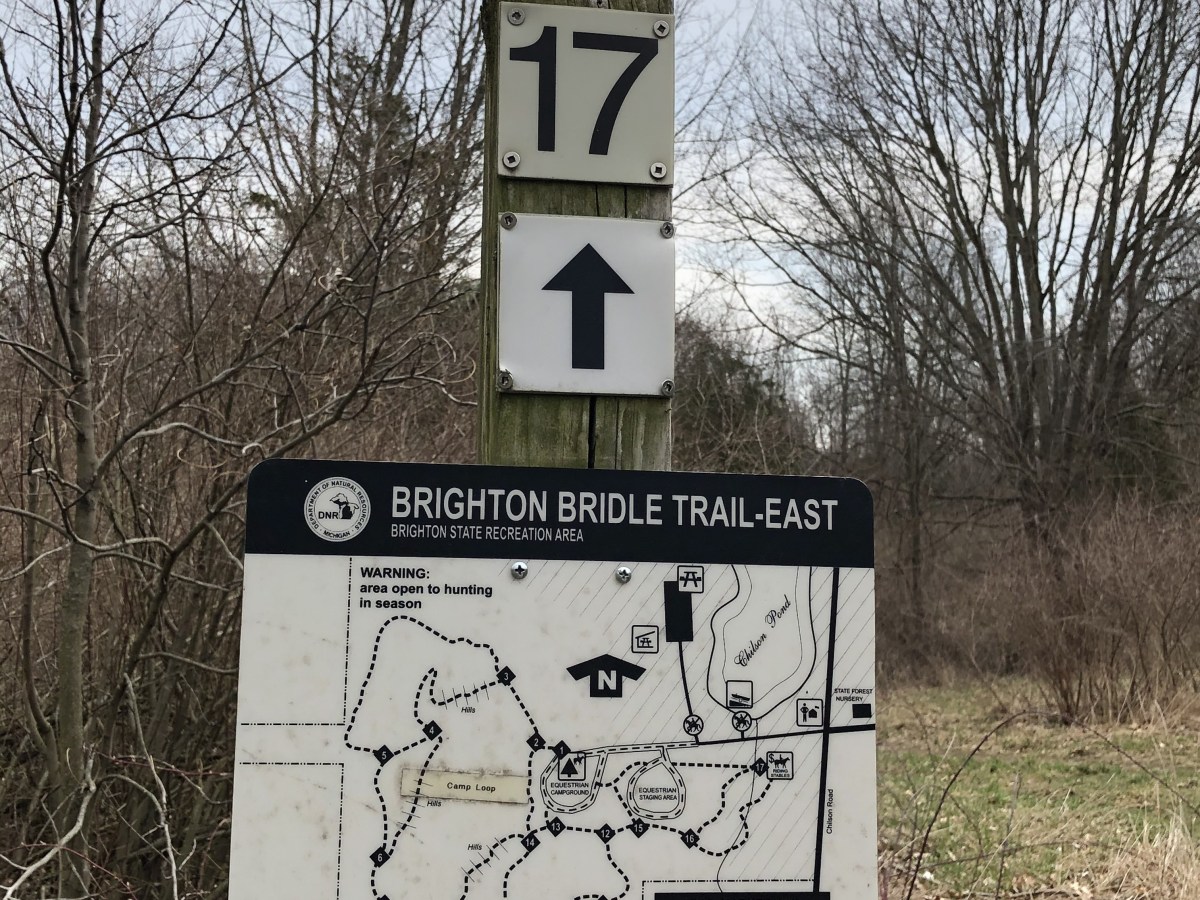 April 04, 2020 – Brighton Recreational Area, MI,&nbsp;USA